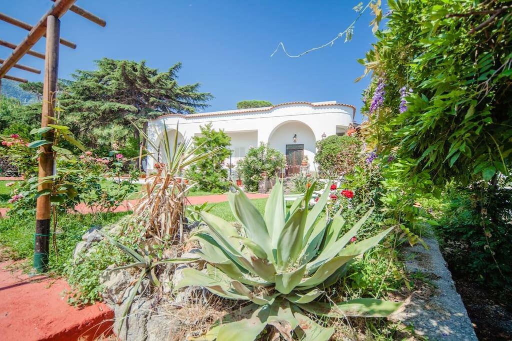 Villa Antica Casamicciola Terme Luaran gambar